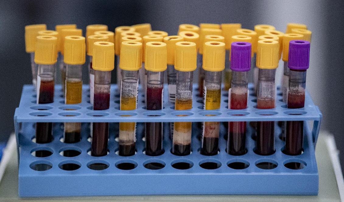 I en ny studie har antikroppar mot covid-19 undersökts närmare. Arkivbild. Foto: Johan Nilsson/TT