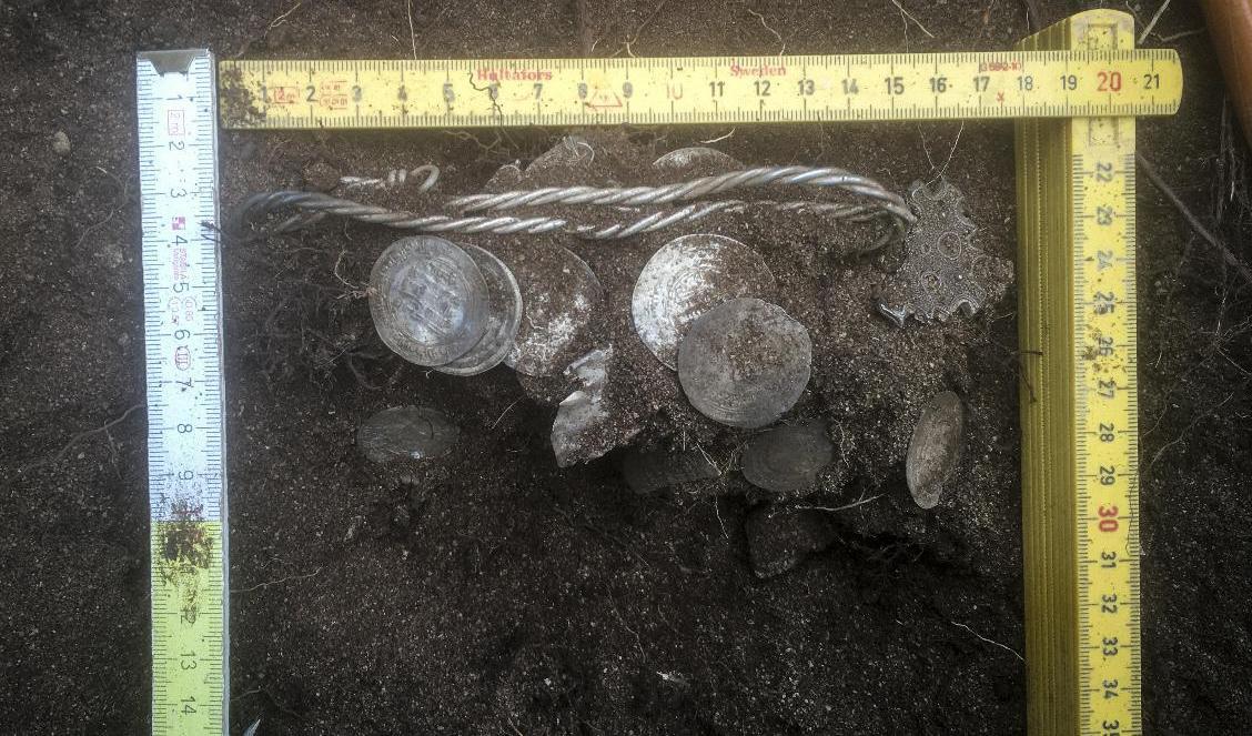 Silverskatten är typisk för Gotland, men platsen för fyndet i ödemark är ovanligt. Foto: Per Widerström/Gotlands museum
