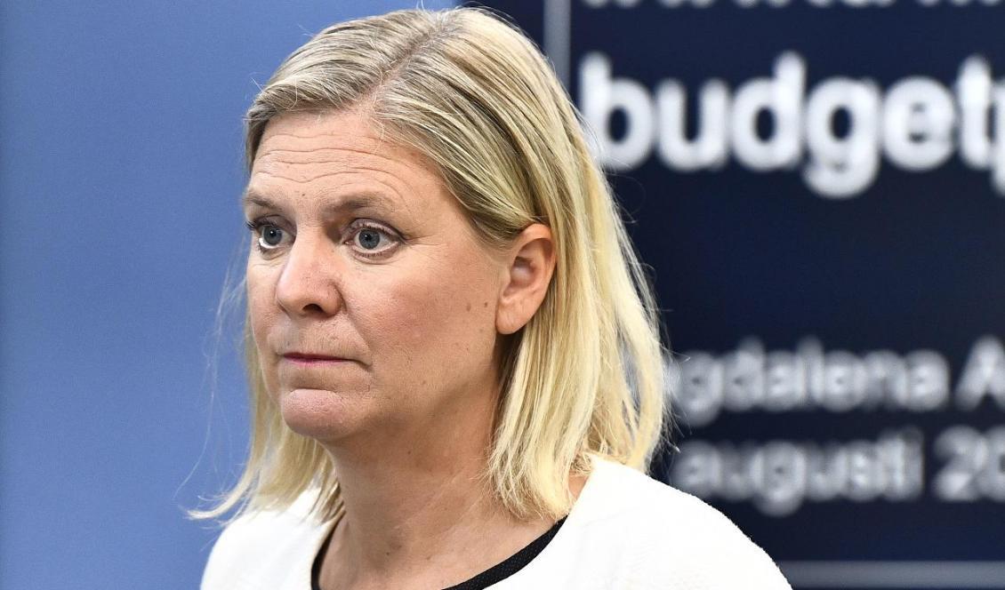 Finansminister Magdalena Andersson (S) uppges vara en av dem som finns med i databasen. Foto: Claudio Bresciani/TT