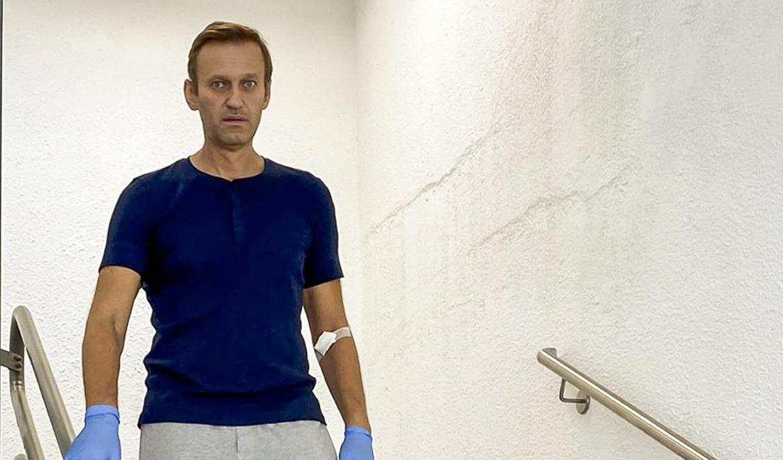 Den ryske oppositionspolitikern Aleksej Navalnyj är utskriven från sjukhuset i Berlin. Arkivbild. Foto: Navalnyjs Instagram/TT