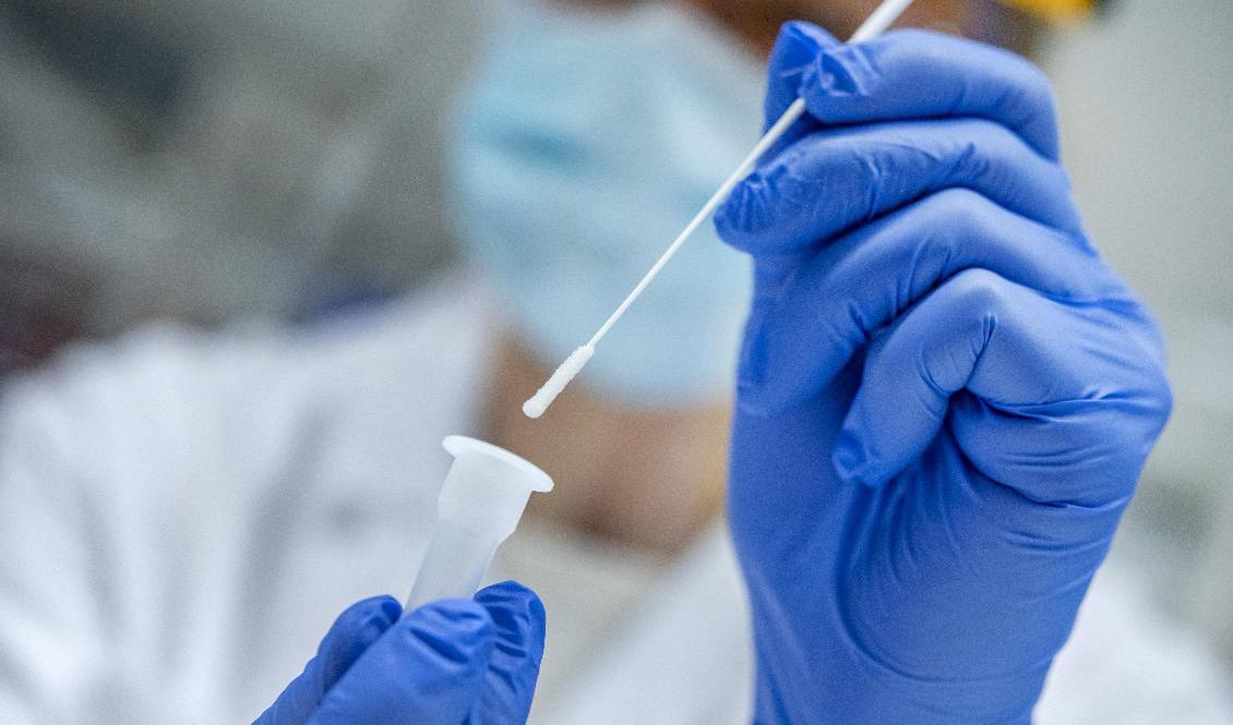 Över tusen personers resultat har påverkats av det felaktiga materialet – de flesta av dem tros felaktigt ha fått negativt svar trots att de hade en pågående infektion. Arkivbild. Foto: Johan Nilsson/TT