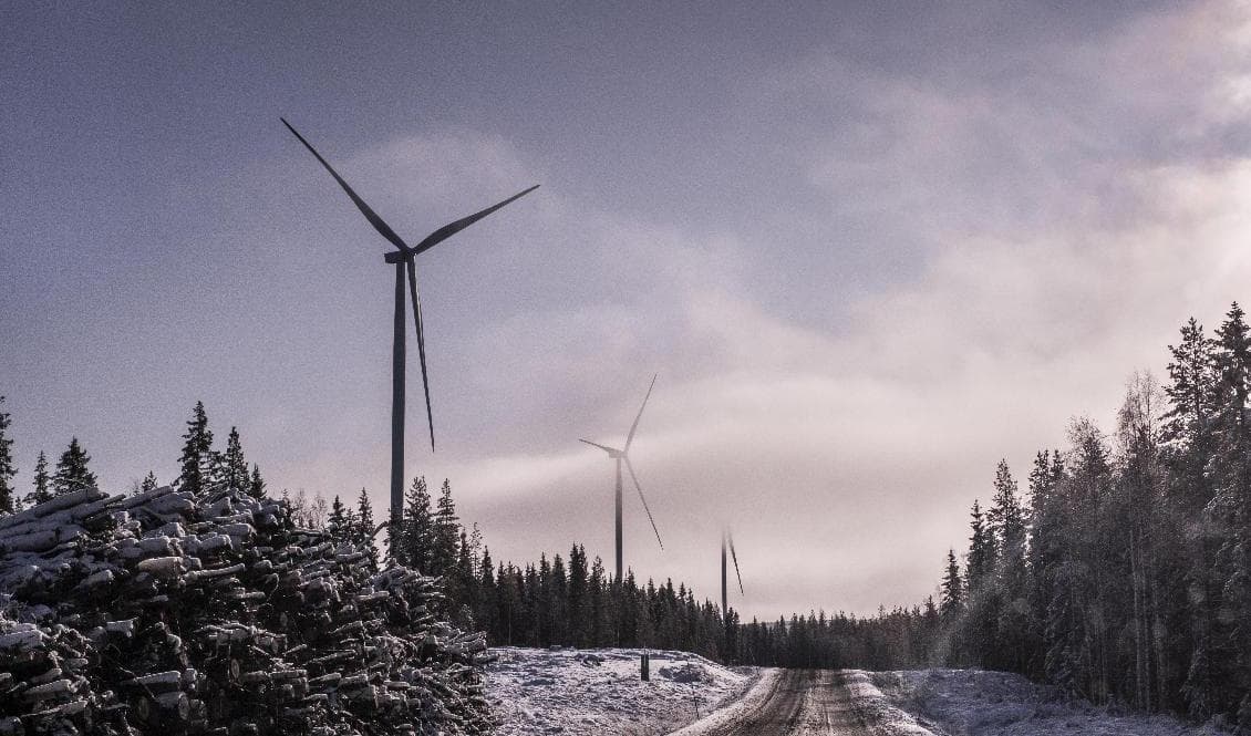 Arkivbild på vindkraftverk i Piteå. Foto: Magnus Hjalmarson Neideman/SvD/TT