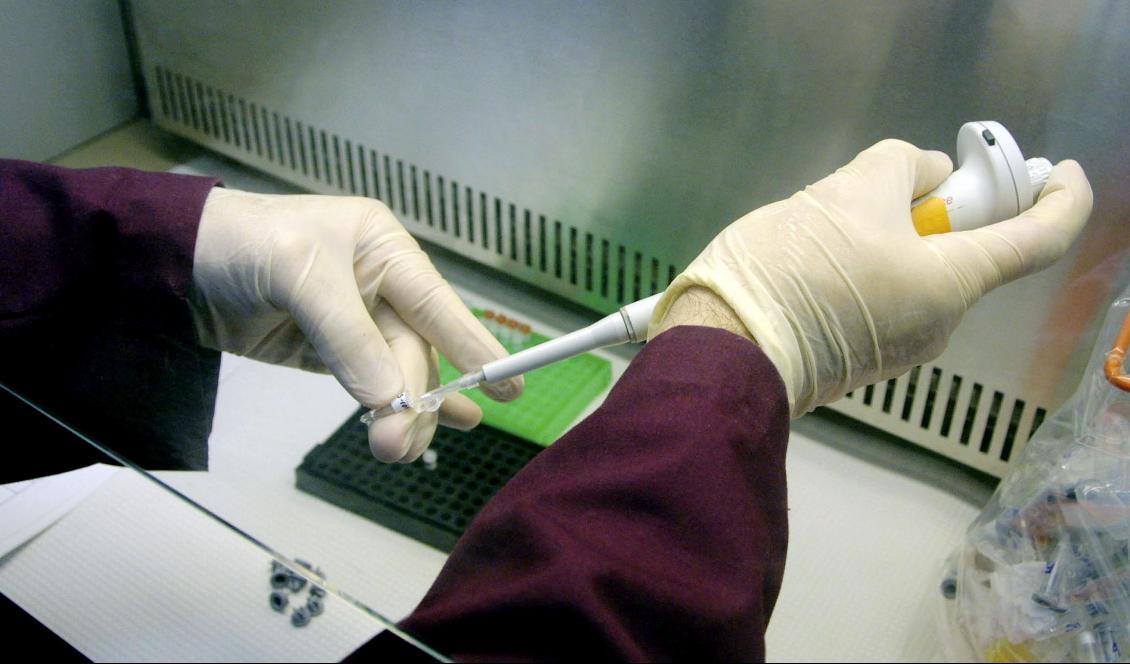 En forensiker förbereder DNA-prov i polisens labb i Baton Rouge i Louisiana i USA. Foto: Mario Villafuerte/Getty Images