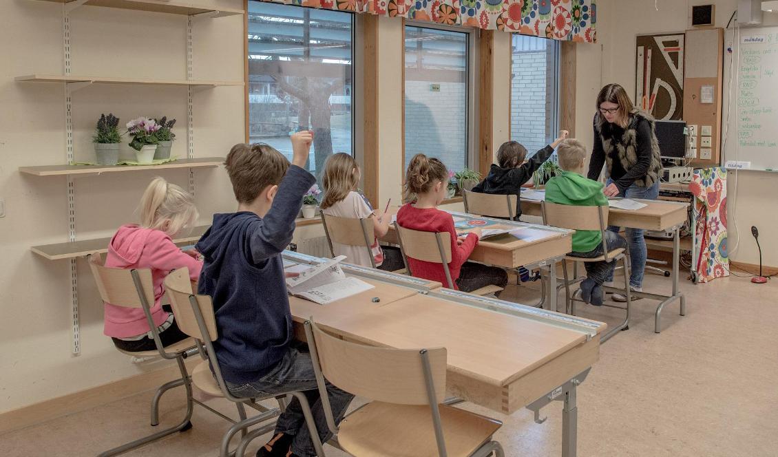 
Skolelever tillsammans med läraren i ett klassrum Halmstad. Foto: David Ramos/Getty Images                                            