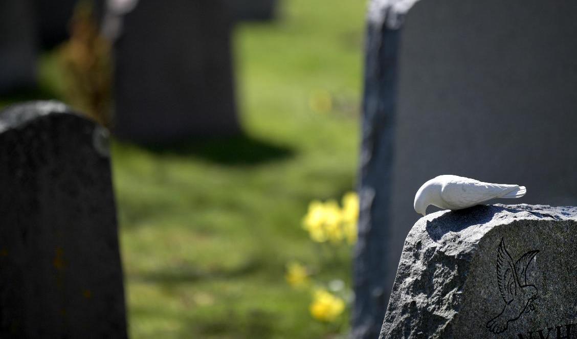 Gravstenar på en annan begravningsplats. Arkivbild. Foto: Janerik Henriksson/TT