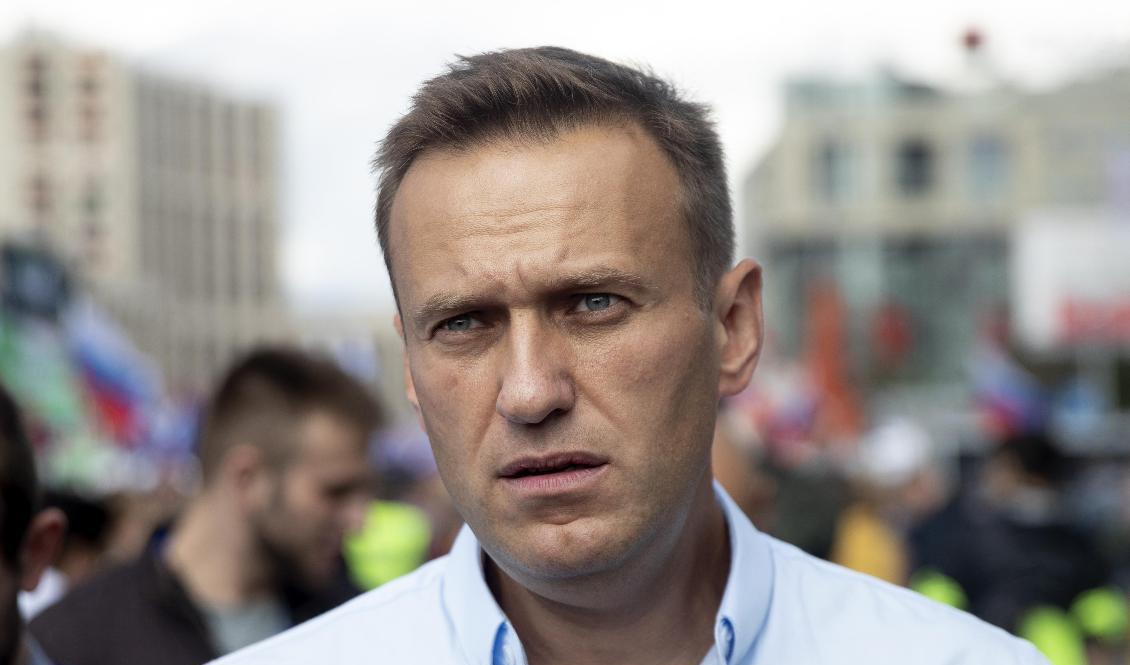 Den ryska oppositionspolitikern Aleksej Navalnyj i juli 2019. Arkivbild. Foto: Pavel Golovkin