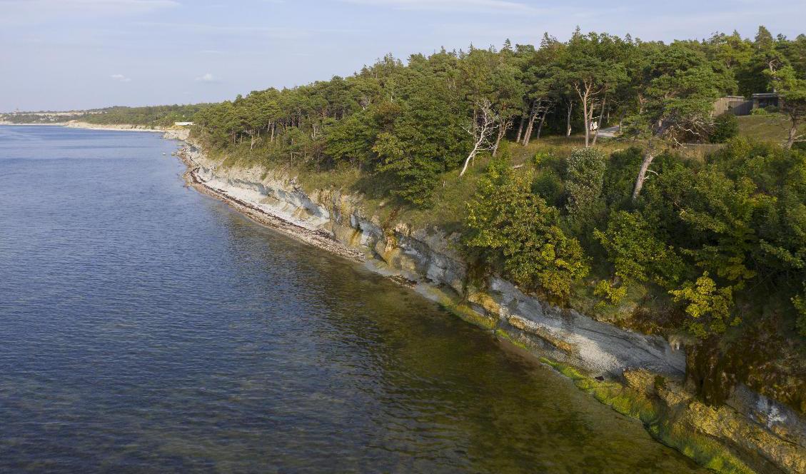 En omkring 70 år gammal granat, med en diameter på 8,5 centimeter, har påträffats av en privatperson på Gotland. Arkivbild. Foto: Fredrik Sandberg/TT