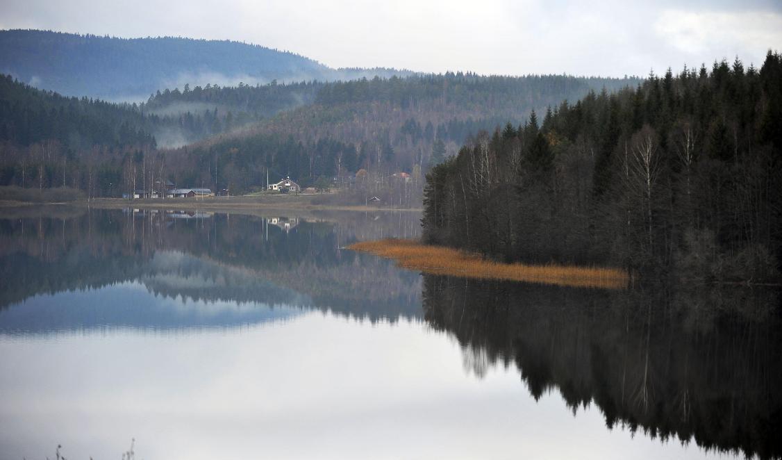 Husägare i de drabbade områdena är inte ovana vid översvämningar och har gjort vad de kan för att skydda bebyggelsen. Arkivbild på Glafsfjorden. Foto: Christer Hoglund/TT