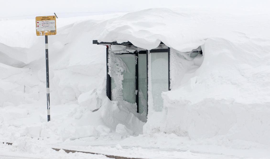 Snö och blåst – i Västernorrland kan det komma upp till fyra decimeter under måndagskvällen och natten mot tisdagen. Arkivbild. Foto: Johan Nilsson/TT