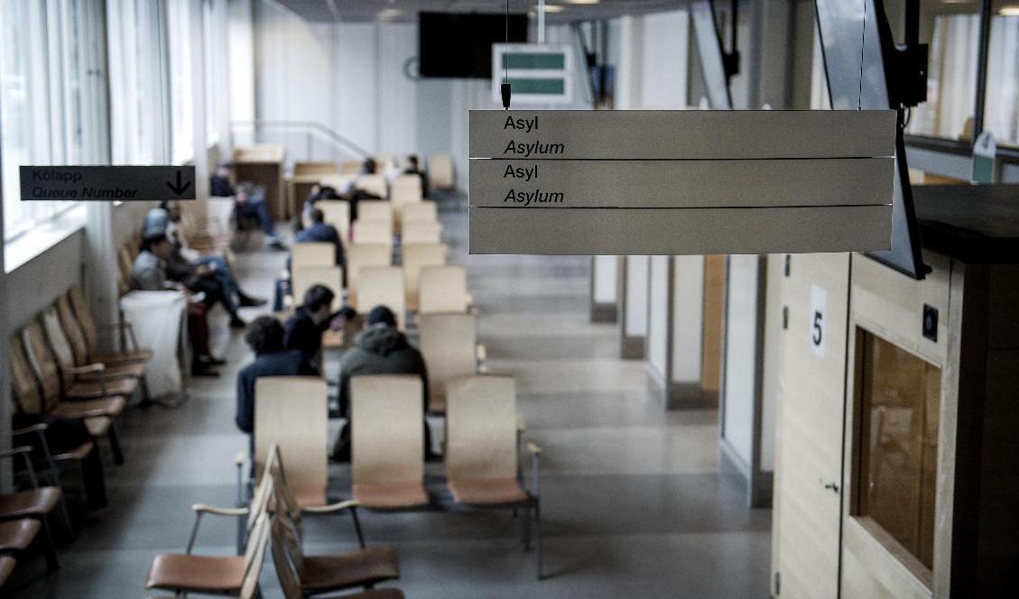 En stor del av den misstänkta människohandeln hittas inom ramen för asylprocessen. På bilden syns en väntsal för asylsökande på Migrationsverket i Solna. Arkivbild. Foto: Marcus Ericsson/TT
