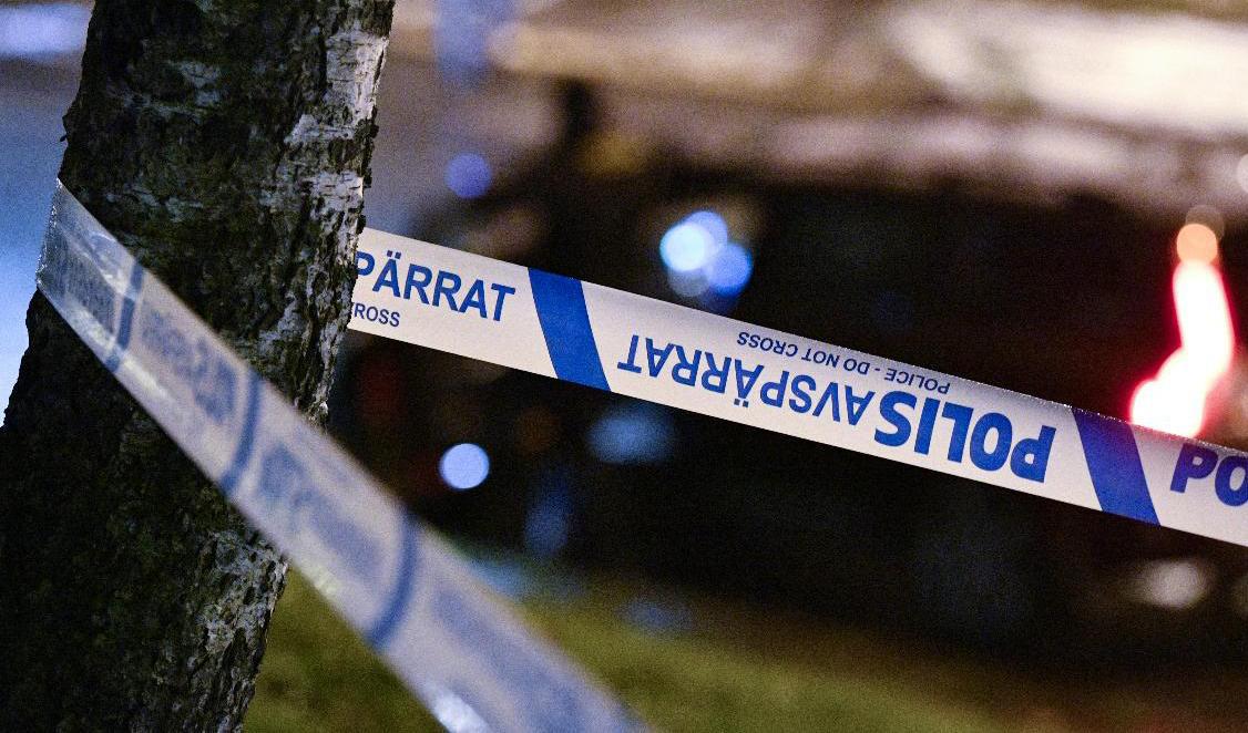 Ungefär 1,5 miljoner brott anmäldes förra året, visar preliminär statistik. Arkivbild. Foto: Johan Nilsson/TT