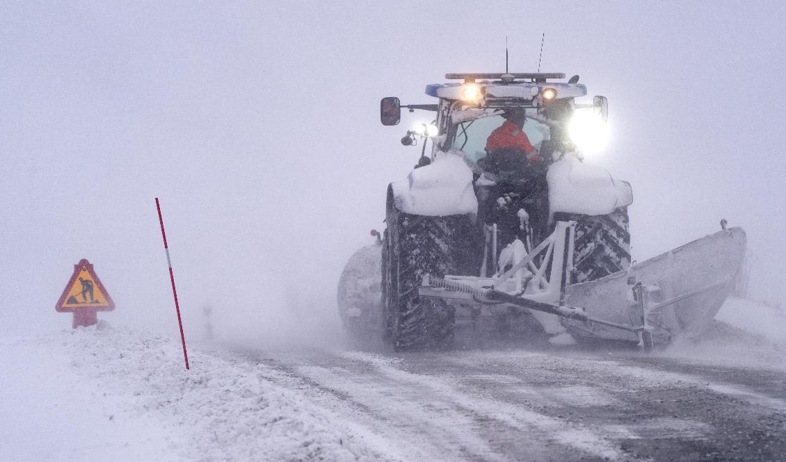 Ovanligt mycket snö och starka vindar orsakar trafikproblem — även i Danmark. Bilden togs i Skåne i helgen. Foto: Johan Nilsson/TT