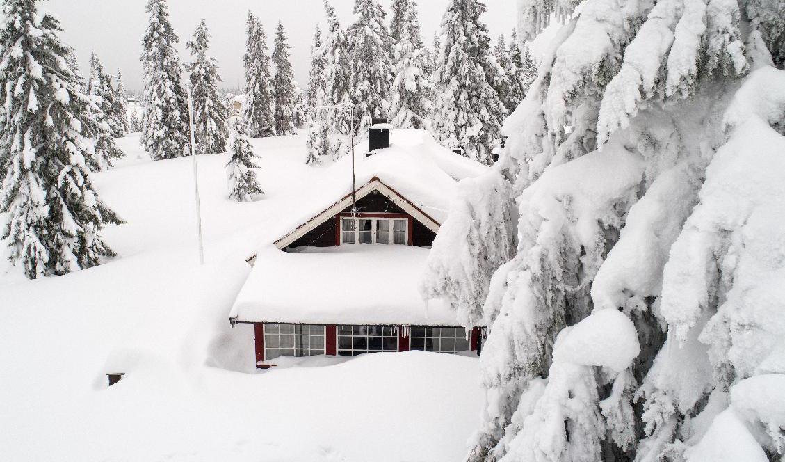 Den kalla vintern kan göra så att vattenledningar fryser sönder och orsakar vattenskador på sommarstugor. Arkivbild. Foto: Tore Meek/NTB/TT
