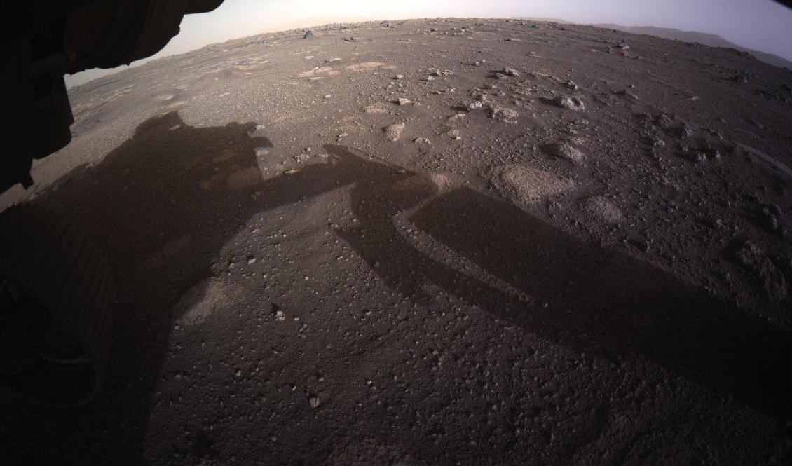 Den första färgbilden från Perseverance på Mars. Foto: Nasa/AP/TT