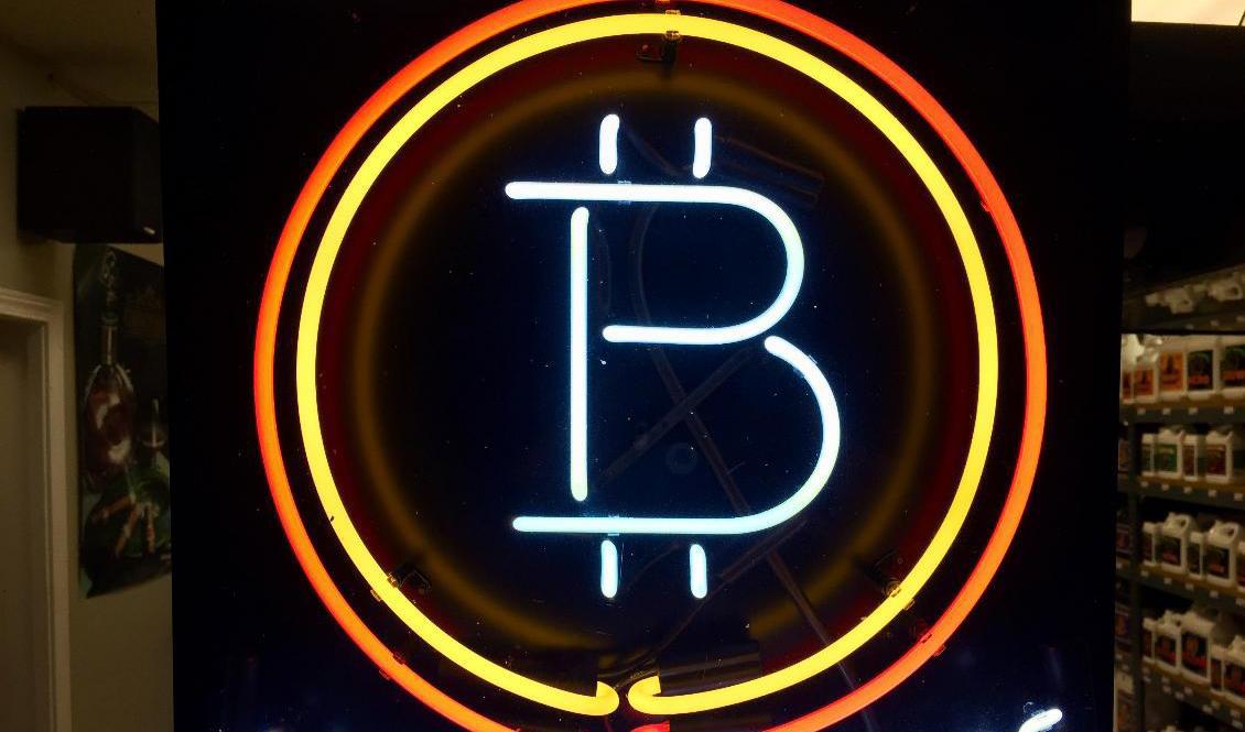 Är kryptovalutor här för att stanna? Eller är det den största bubblan sedan 1600-talets tulpanlökshysteri? Foto: Gillian Flaccus