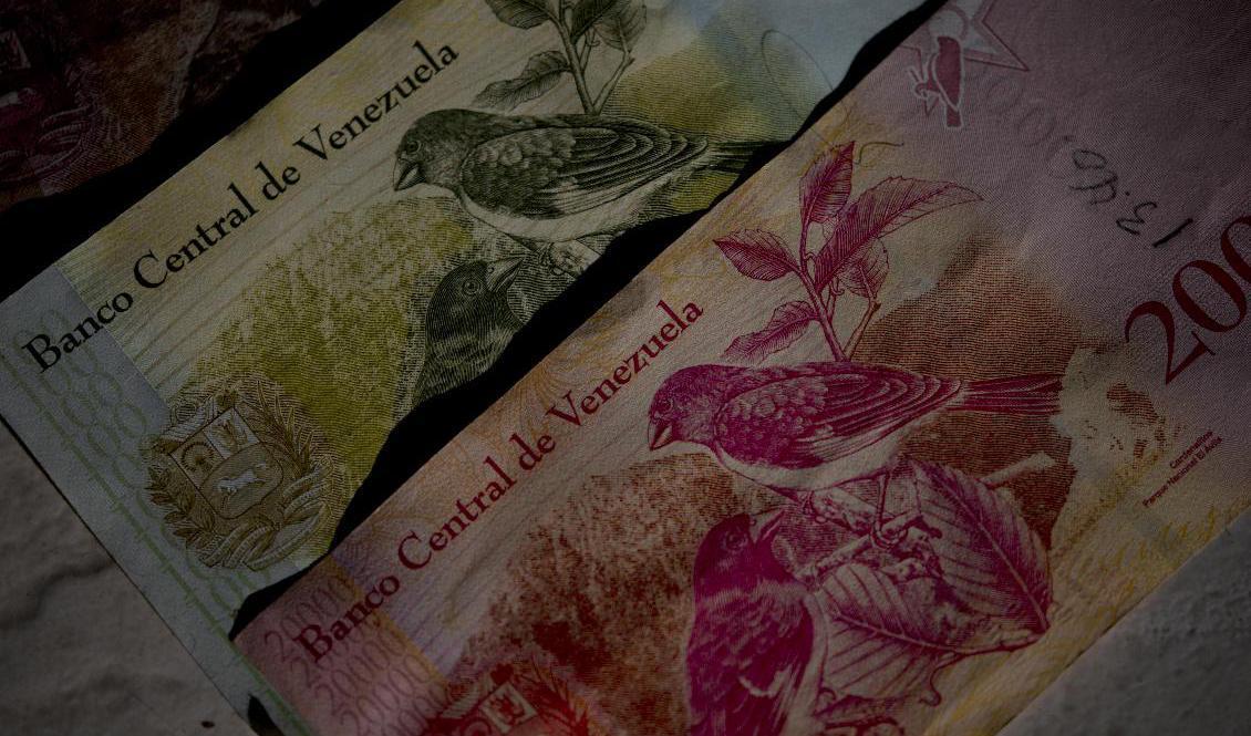 Gamla, i princip värdelösa, venezuelanska sedlar. Arkivbild. Foto: Fernando Llano/AP/TT