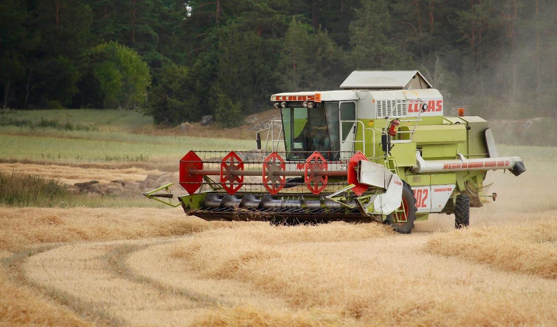 Foto: Susanne W Lamm