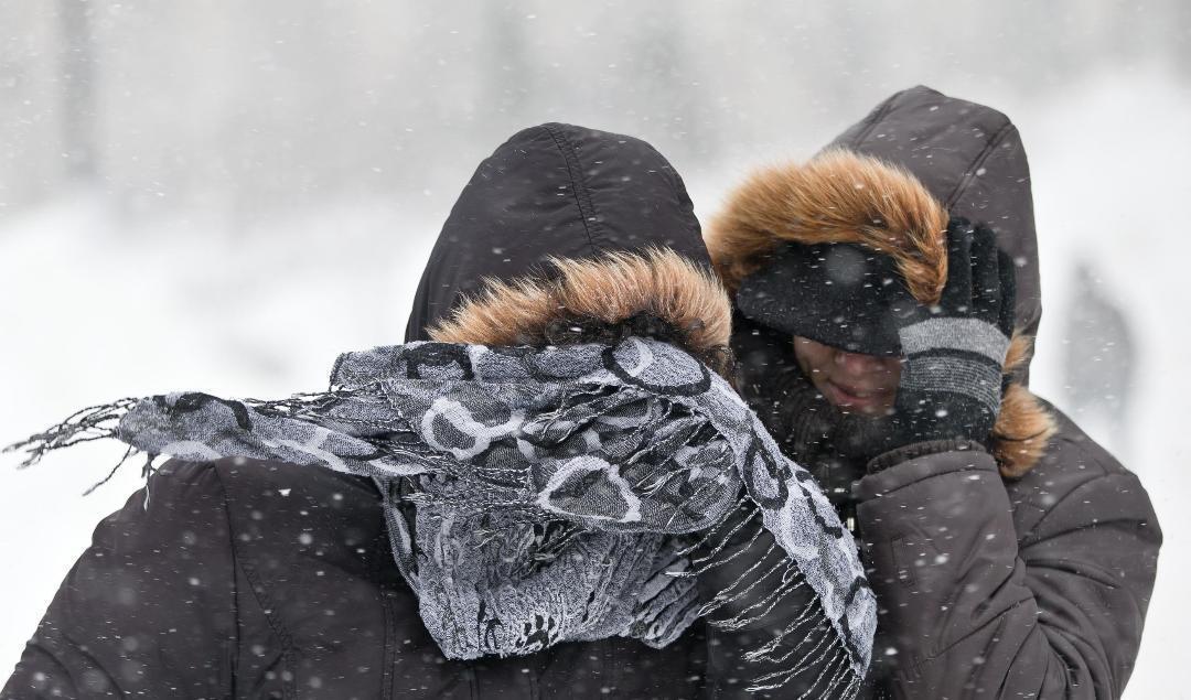 SMHI utfärdar klass 2 varning för snöoväder och starka vindar i Syd- och Västsverige. I vindbyarna kan det handla om stormstyrka. Arkivbild. Foto: Vadim Ghirda