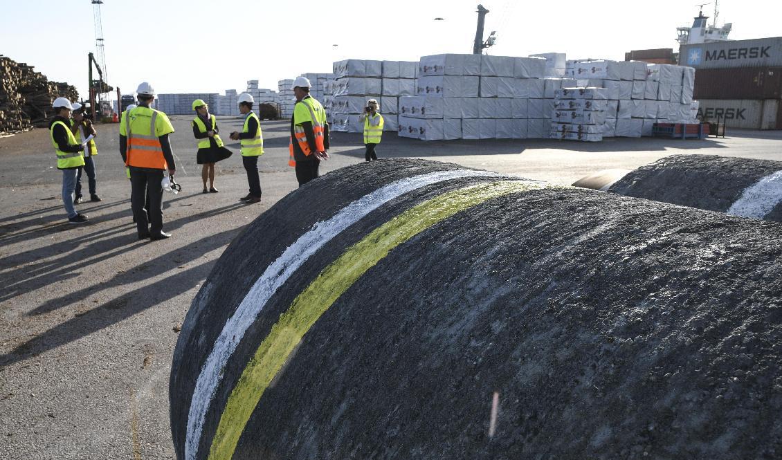 Ledningsrör för Nordstream|2 i Karlshamn. Arkivbild. Foto: Johan Nilsson/TT
