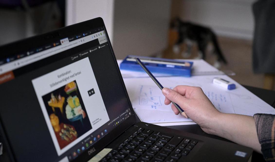 Covid-drabbade regioner hanterar frågan om distansundervisning olika. Arkivbild. Foto: Janerik Henriksson/TT