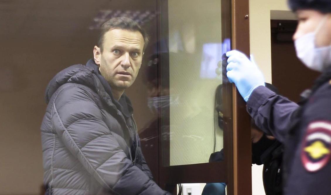 Den ryske regimkritikern Aleksej Navalnyj. Arkivbild. Foto: AP/TT
