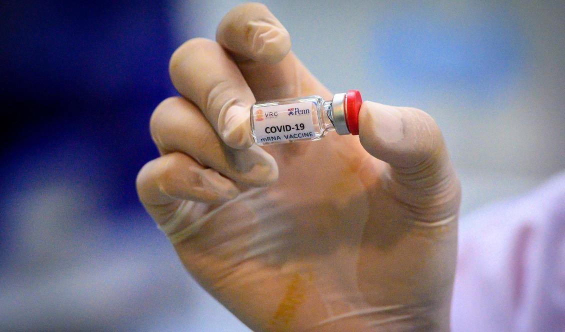 
I Storbritannien genomför man försök att avsiktligt infektera unga friska individer med coronaviruset. Syftet är att forska fram effektiva vacciner och behandlingsmetoder mot covid-19. Foto: Mladen Antonov/AFP via Getty Images                                            