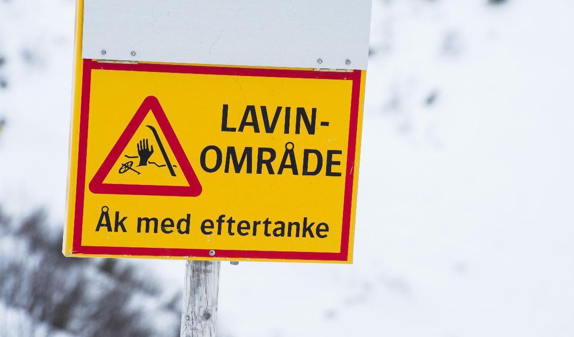 Naturvårdsverket varnar för betydande lavinfara i de svenska fjällen. Arkivbild. Foto: Erik Nylander/TT