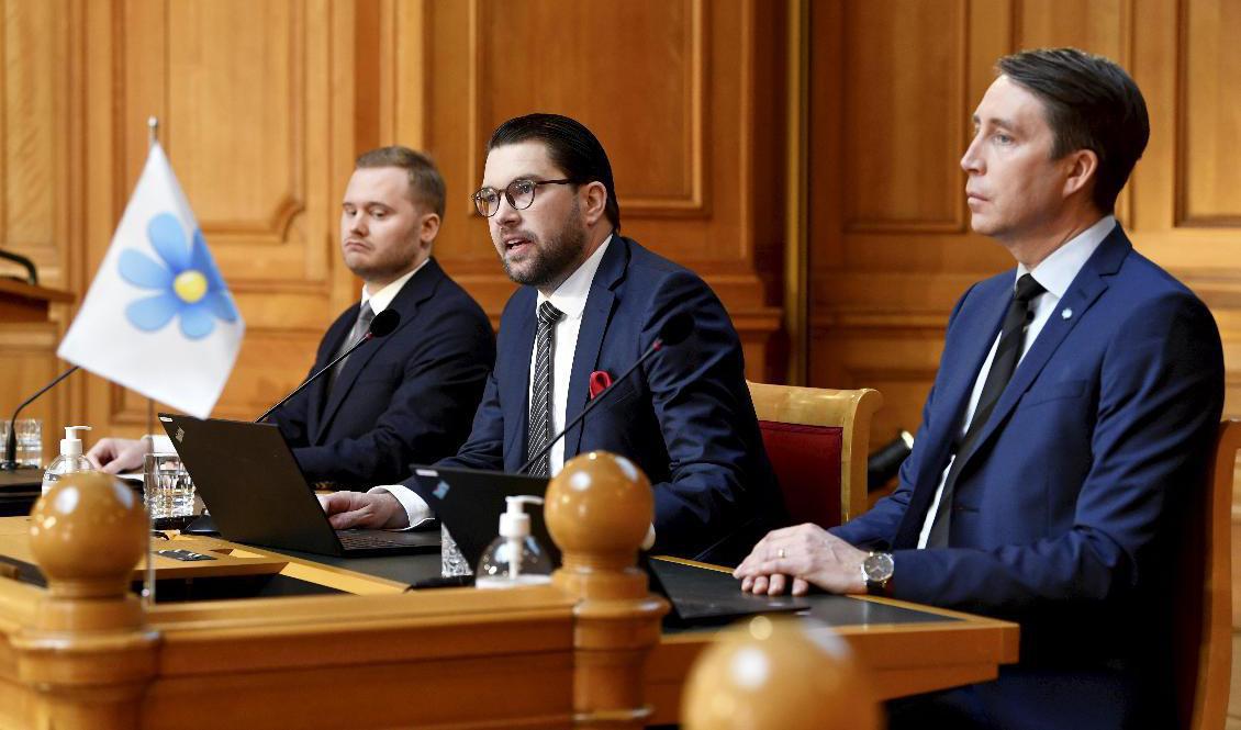 Sverigedemokraternas gruppledare Henrik Vinge, partiledare Jimmie Åkesson och partisekreterare Richard Jomshof i Andrakammarsalen i riksdagen. Foto: Henrik Montgomery/TT