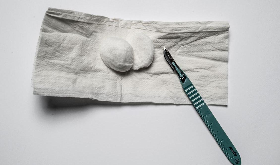 Två föräldrar i Härnösand åtalas misstänkta för bland annat misshandel efter att tre av deras barn omskurits i hemmet. De nekar till brott. Arkivbild. Foto: Joakim Ståhl/SvD/TT