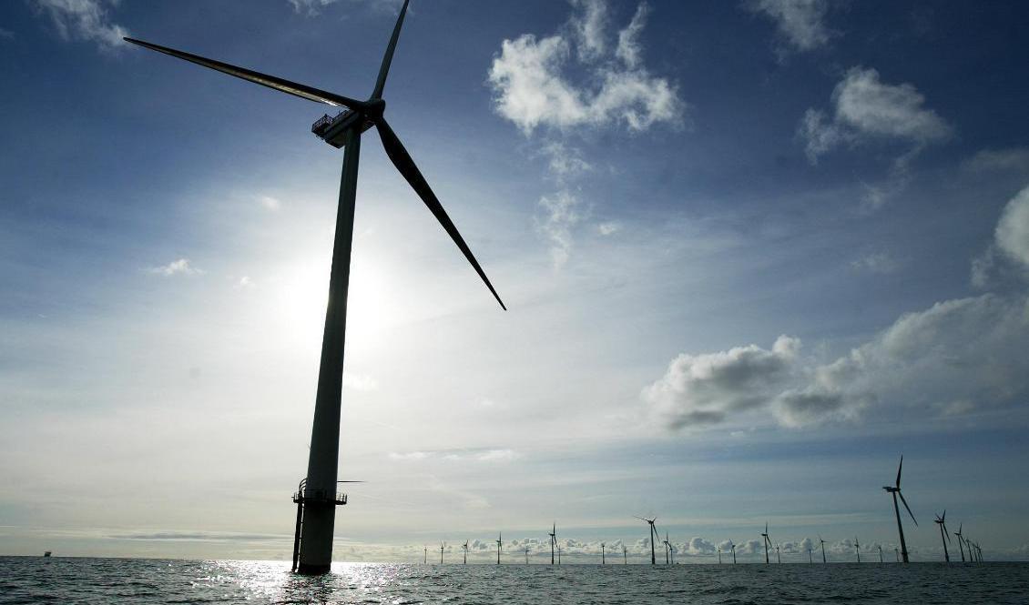 Vindkraftverk till havs är något Sverige bör satsa på, skriver Miljöpartiet på DN Debatt. Arkivbild. Foto: Lars Skaaning/AP/TT