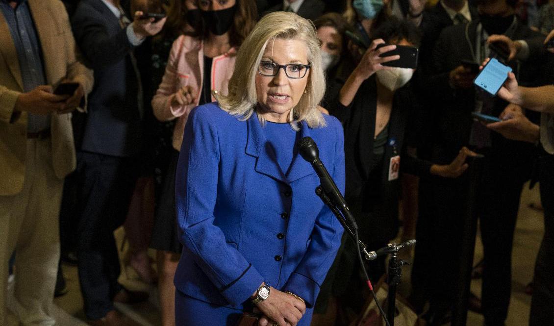 Republikanen Liz Cheney pratar med reportrar efter omröstningen. Foto: Manuel Balce Ceneta/AP/TT