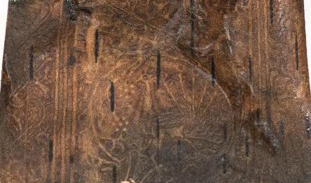 Bärgade björknävern, som efter 526 år under Östersjöns yta fortfarande håller mönstret. Foto: Charlotta Bäckström