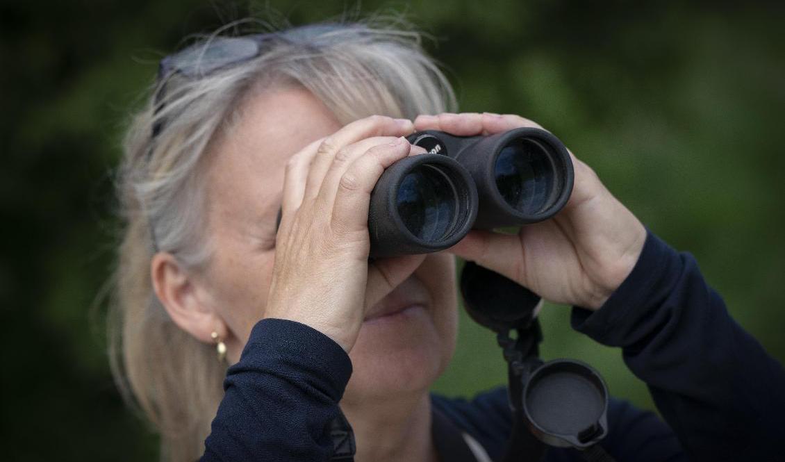 Naturpedagog Anette Barr i Silvåkratornet vid Krankesjön utanför Lund. Foto: Johan Nilsson/TT