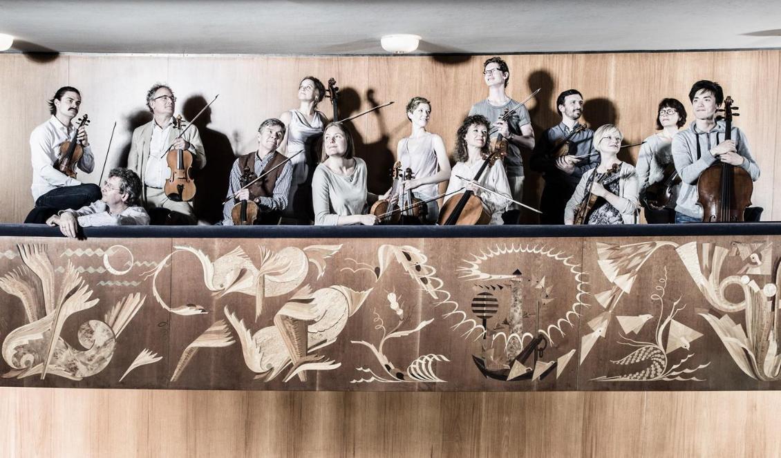 
2016 var året då medlemmar från Göteborgs Symfoniker startade Barockakademin. Nu är Veggetti gruppens konstnärlige ledare. Foto: Ola Kjelbye                                            