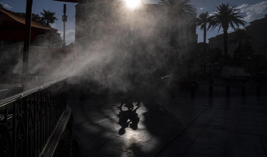 
Stekhet sol i Las Vegas i Nevada. Arkivbild. Foto: John Locher/AP/TT                                            