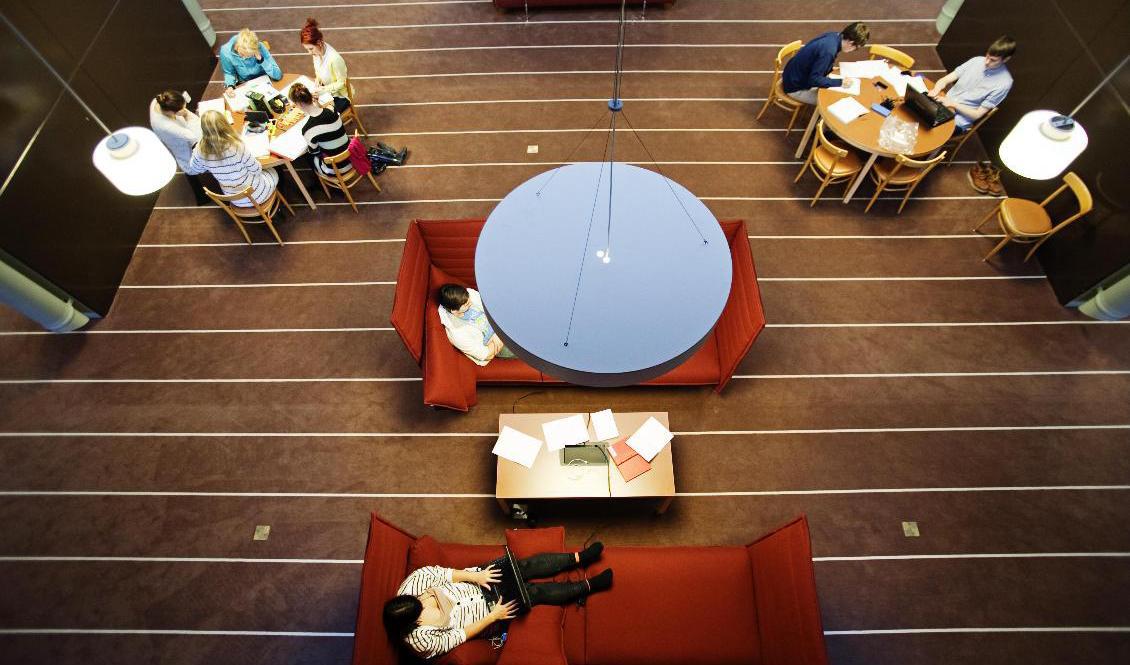 Hundratusentals sökande får besked om de kommit in på sina utbildningar. Arkivbild. Foto: Tor Johnsson/SvD/TT