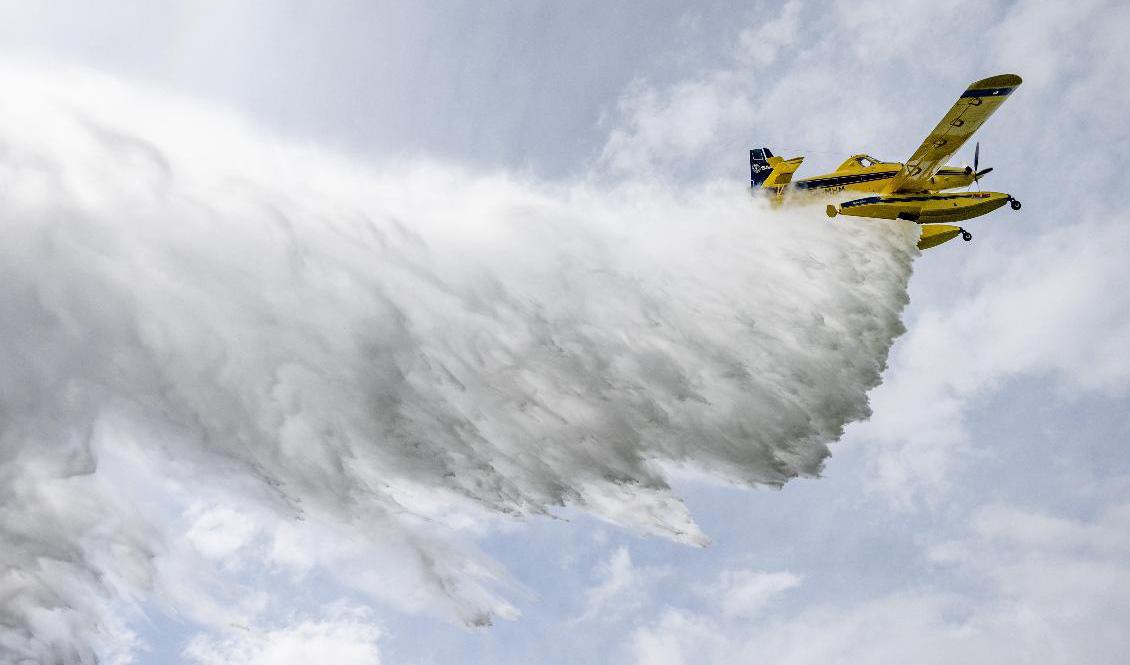 Fyra vattenbombande flygplan är beredda om en skogsbrand uppstår. Arkivbild. Foto: Johan Nilsson/TT
