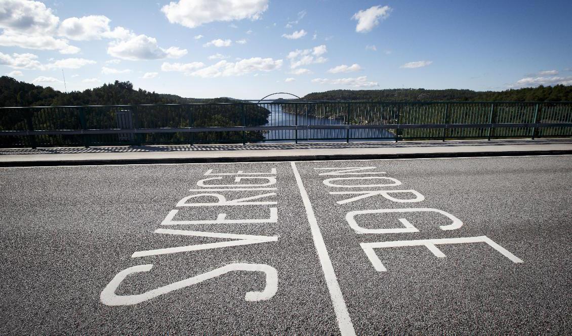 Antalet svenskar som söker norskt medborgarskap har ökat kraftigt sedan en lagändring i fjol. Arkivbild. Foto: Heiko Junge/NTB/TT