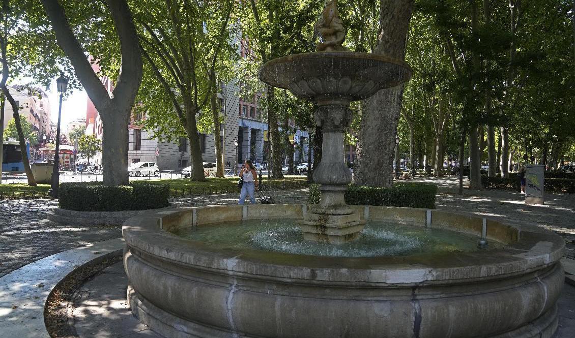 Avenyn Paseo del Prado i Spaniens huvudstad Madrid har utsetts till världsarv av Unesco. Även närliggande Retiroparken har getts samma status. Foto: Paul White/AP/TT