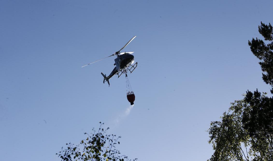 Vattenbombning av en annan skogsbrand i juni i år. Foto: Magnus Andersson/TT