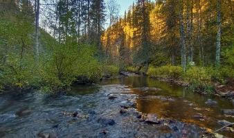 För att minska utsläppen av läkemedelsrester i hav, sjöar och vattendrag delar Naturvårdsverket årligen ut bidrag till åtgärdsprojekt och förstudier. Foto: Bilbo Lantto