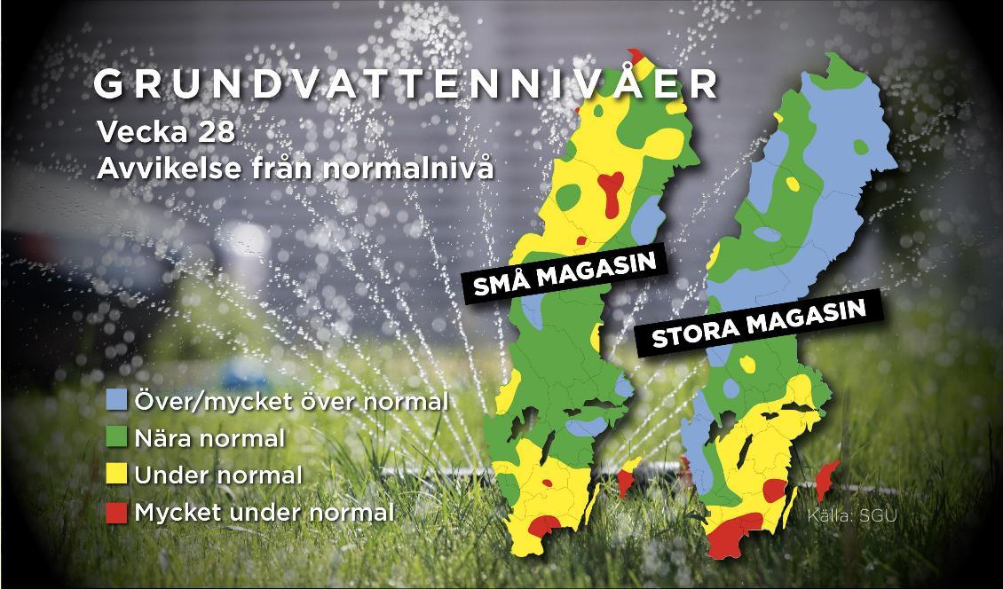 Grundvattennivåerna i sydost och på Gotland är mycket under normala nivåer. Foto: Anna-Lena Lindqvist
