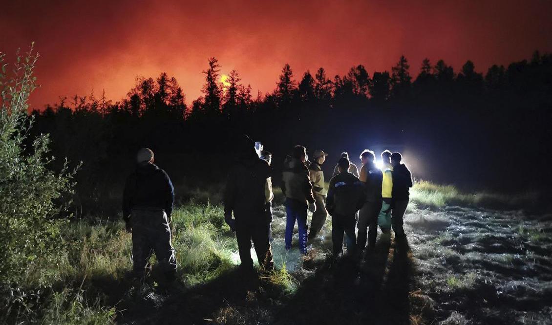 Brandmän och frivilliga på plats väster om Sachas huvudstad Yakutsk. Bilden är tagen i helgen. Foto: Ivan Nikiforov/AP/TT
