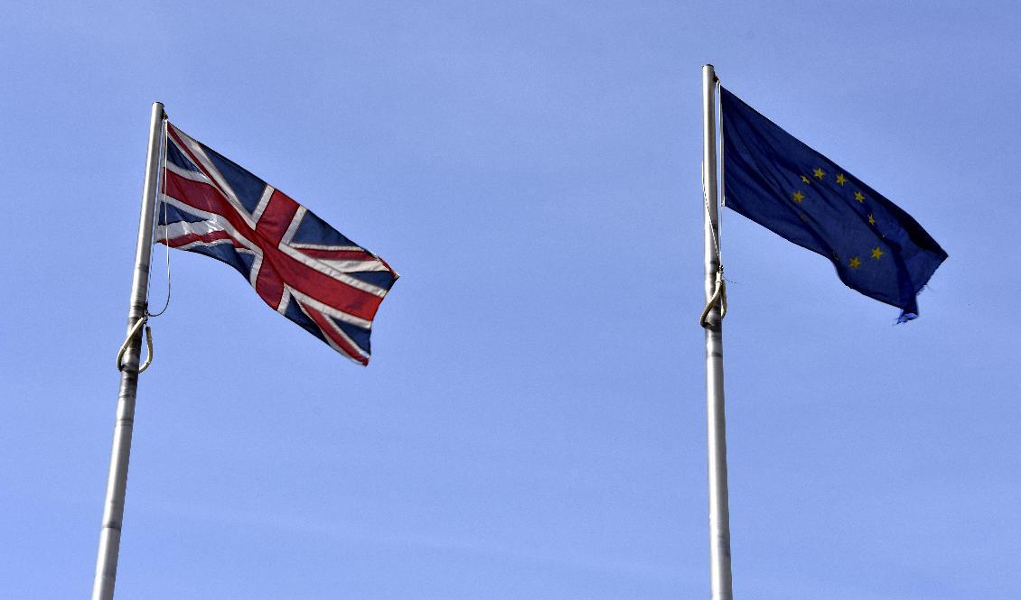 Efter Storbritanniens uttåg ur EU gäller inte längre samma regler som tidigare för britter bosatta i Sverige. Arkivbild. Foto: Wiktor Nummelin/TT