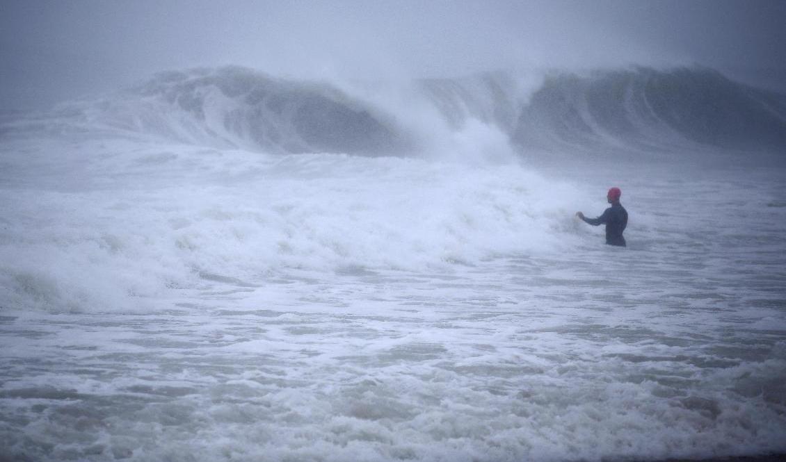Matt Prue, surfare, studerar vågor från stormen Henri vid Rhode Island. Foto: Stew Milne/AP/TT