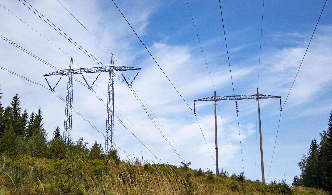 Svenska kraftnät vill bygga en cirka 20 mil lång luftburen växelströmsledning från Oskarshamnstrakten till Hemsjö i Blekinge. Arkivbild. Foto: Paul Kleiven/NTB/TT
