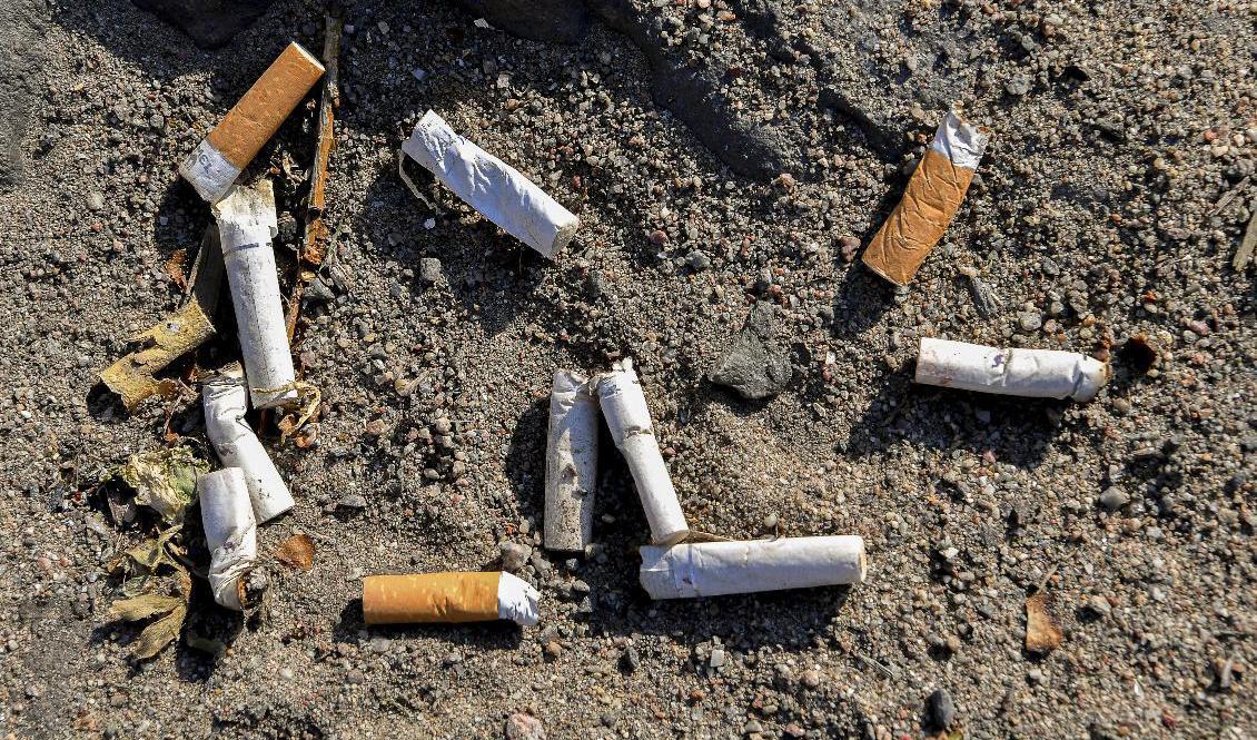 Riksdagen har beslutat att slängda fimpar ska kunna ge böter. Arkivbild. Foto: Jonas Ekströmer/TT
