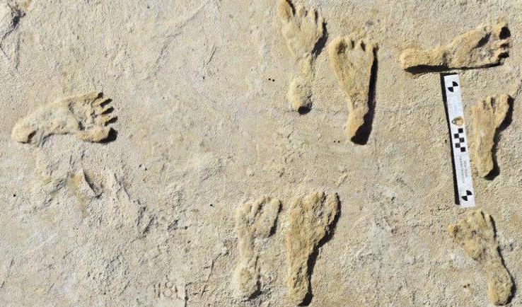 Fotspår visar att människor antagligen befann sig i Nordamerika mycket tidigare än vad man tidigare trott. Foto: Bournemouth University/TT