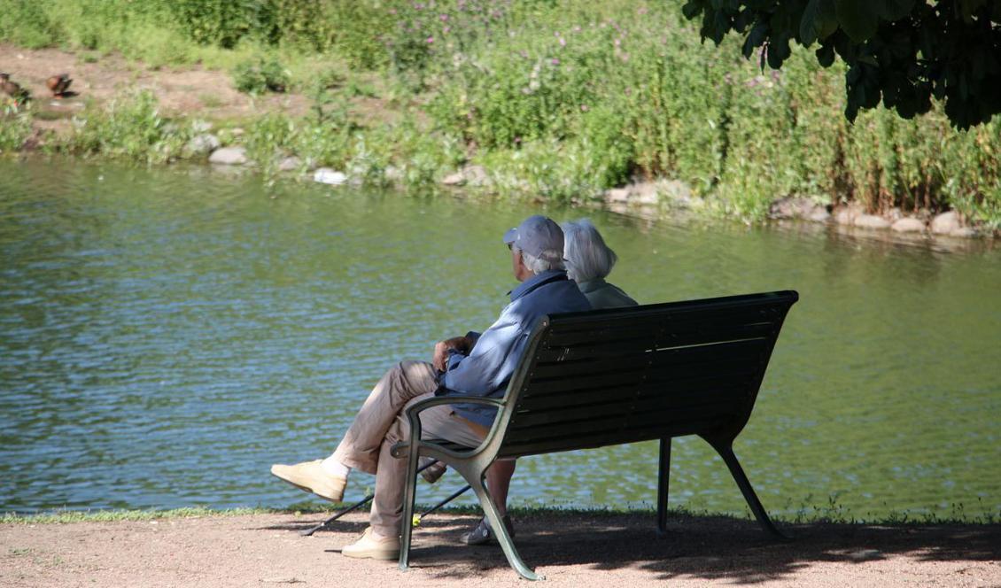 

Arbetande pensionärer har en bättre balans mellan arbetsliv och fritid. Foto: Essa Al-Aaid/Pixabay                                                                                        
