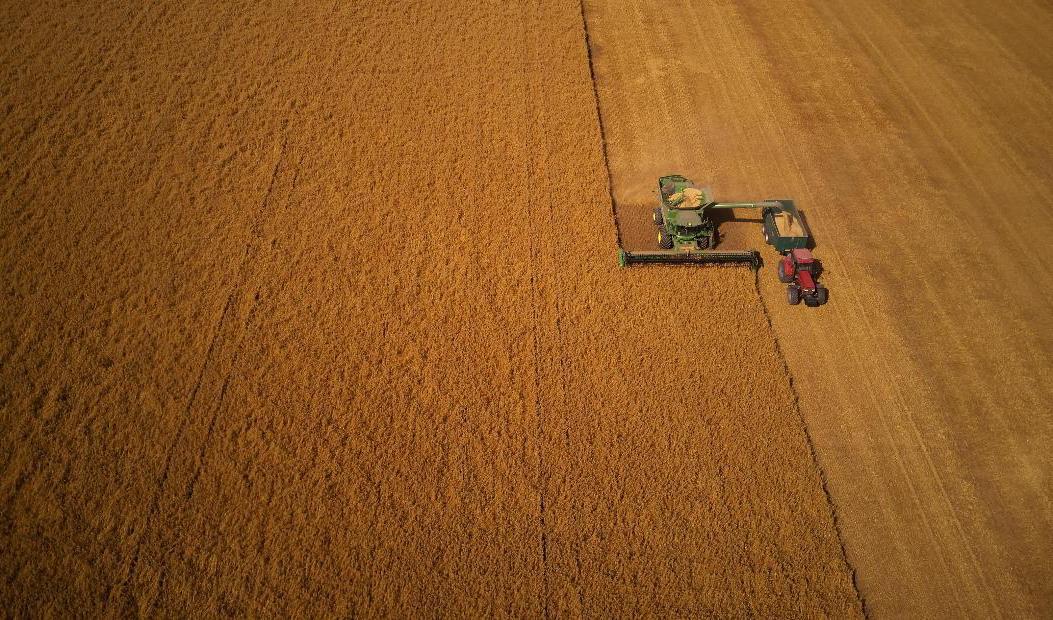 Skörd med skördetröska. Arkivbild. Foto: Andreas Hillergren/TT